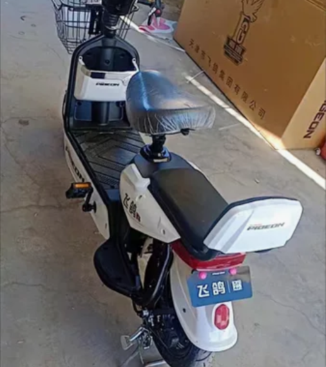 全新飞鸽新国标电动车,3c认证,48V,遥...