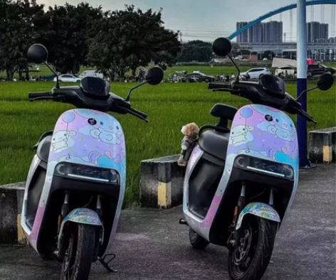 小米九号电动车 n系列 n70c  n80...
