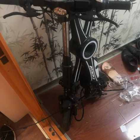 折叠电动车，恩斯迈，电动车，电池跑不多，也就能跑十公里，其他...