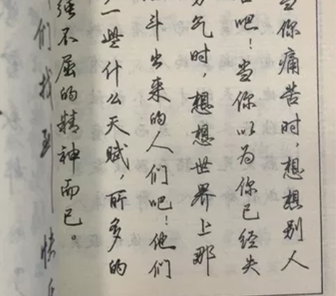 稀缺钢笔字帖，8成新，32开，192页，售...