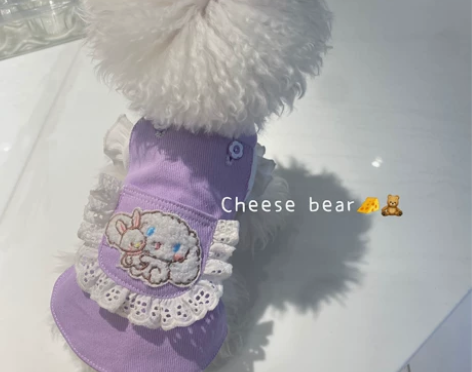 宠物服装定制玉桂狗牛仔裙狗狗背带裙茶杯犬衣...