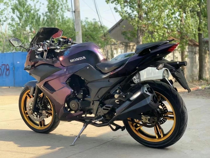 变色龙S款250地平线公路赛，高配电子表 ...