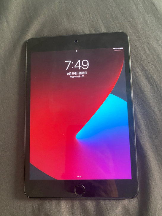苹果 iPad mini5 (2019) ...