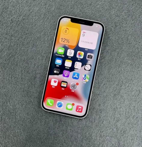 【捡漏看过来】95新自用机苹果 iPhon...