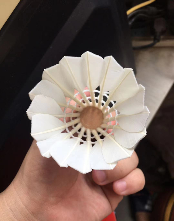 全新热身训练比赛羽毛球，12只装，鹅毛耐打...
