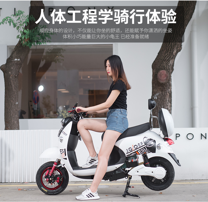电动车长跑小龟王小绵羊电瓶车男女士小型72...