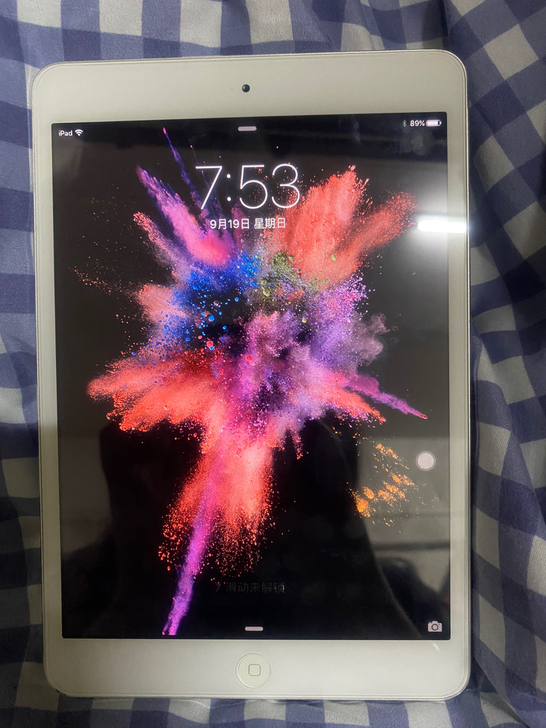 ipad mini1