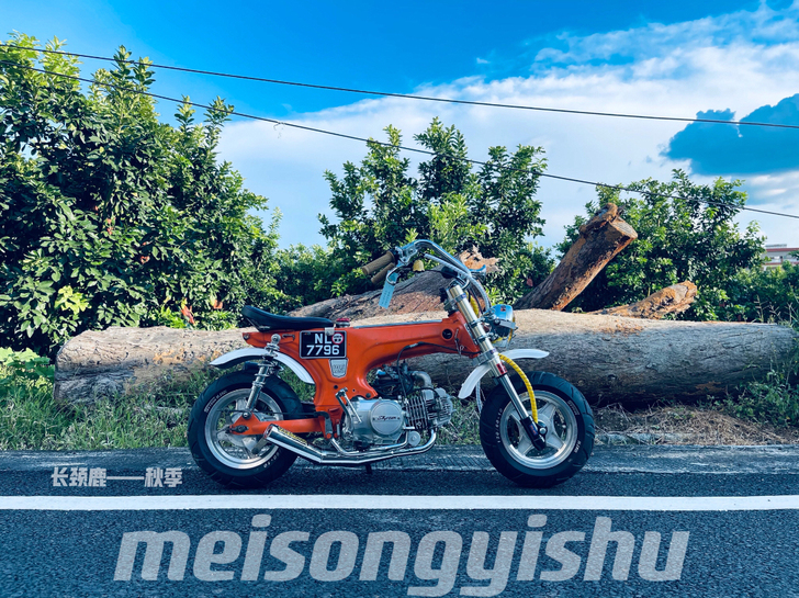 本田（ 长颈鹿）改装定制  迷你车 三鑫1...