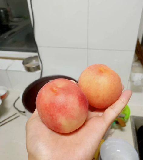 大学生期末考试辅导，会计财管审计类科目 感...