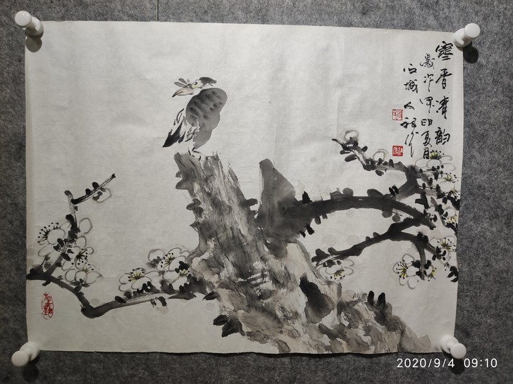 唐山名家周祖光花鸟小精品合辑
