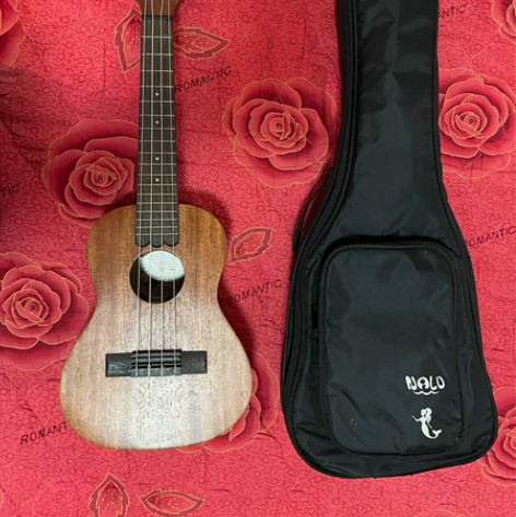 尤克里里bu 断舍离 佛山市南海区大沥镇盐...