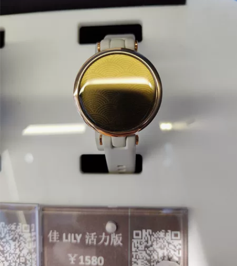 佳明（GARMIN） Lily女性时尚智能...