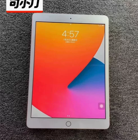 闲置出个人平板iPad2020wifi版 ...