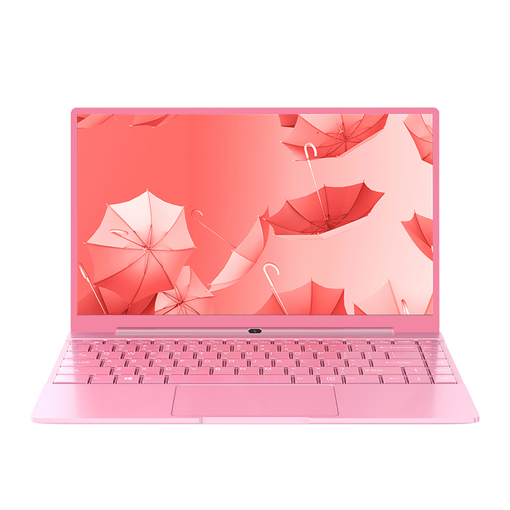 骏族 笔记本电脑