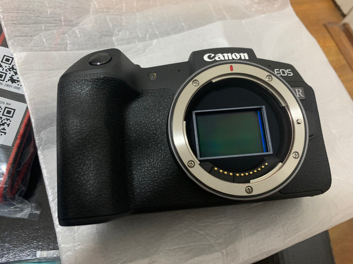 全新 澳洲购入佳能EOS RP 单机
