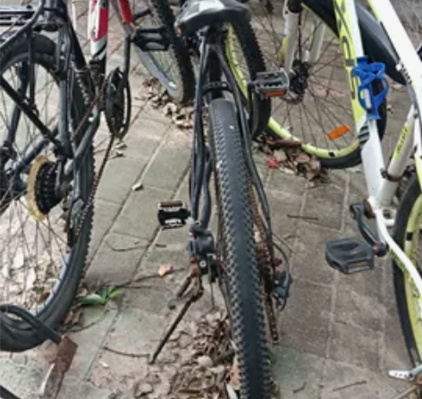 卖单车，卖山地自行车，炎山牌270，黄色喜...