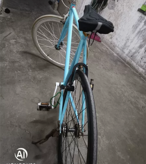 非常轻松好骑，平把公路跑车，后轮两用，可以...