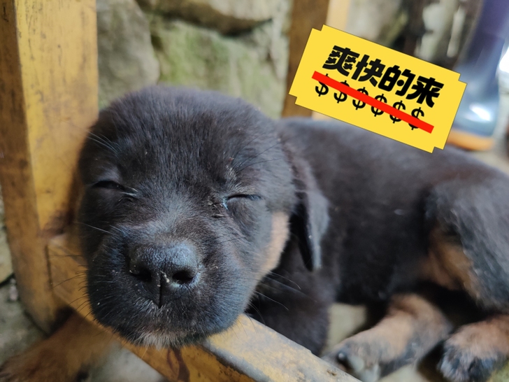 收一加9pro 12G+256G  收收收...