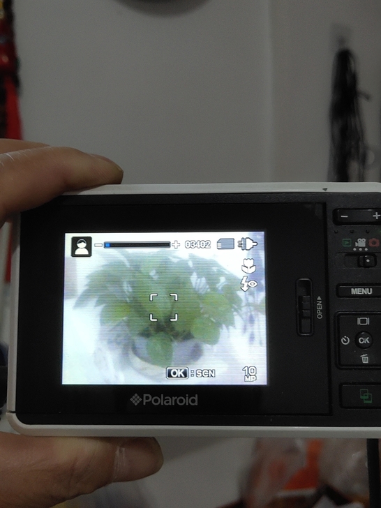 宝丽来Z2300一次成像相机功能正常没有相...