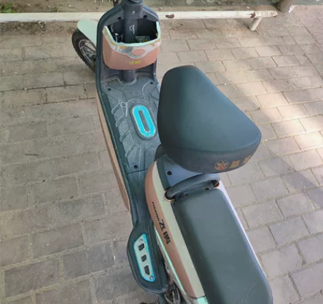 闲置飞鸽电动车用不到了，放久了电瓶可能充不...