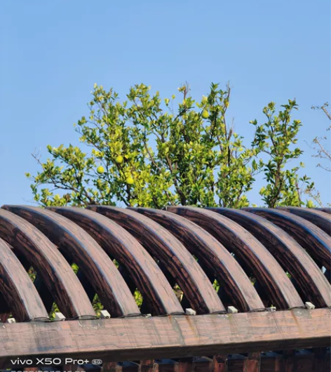 编程指导,在线辅导,c , c++, ...