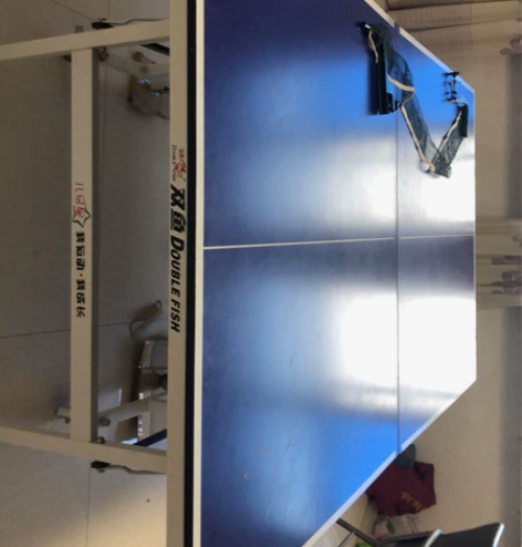 怕孩子近视买的双鱼牌乒乓球桌，安装后楼下不...