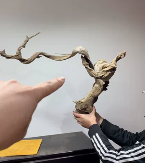 骨飘,特别漂亮。 感兴趣的话点“我想要”和...