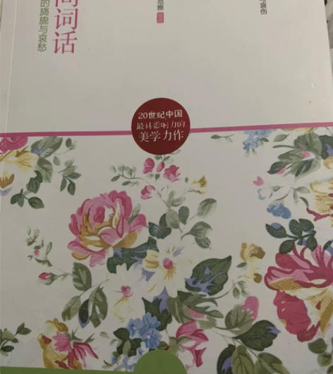 人间词话 全新 王国维全新 转给有需要的朋...