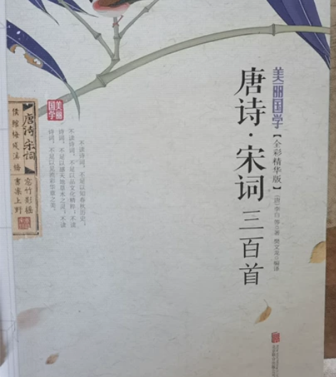 《唐诗宋词三百首》《弟子规》《小学生必背文...
