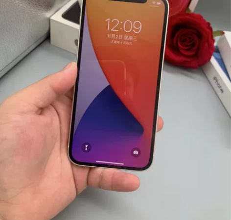 国行12 128 99新纯原无拆修支持验机...