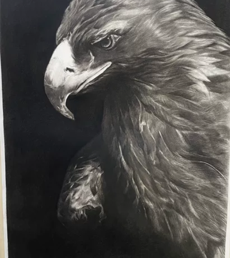 已售 部分素描作品展示 所有作品均本人手绘...