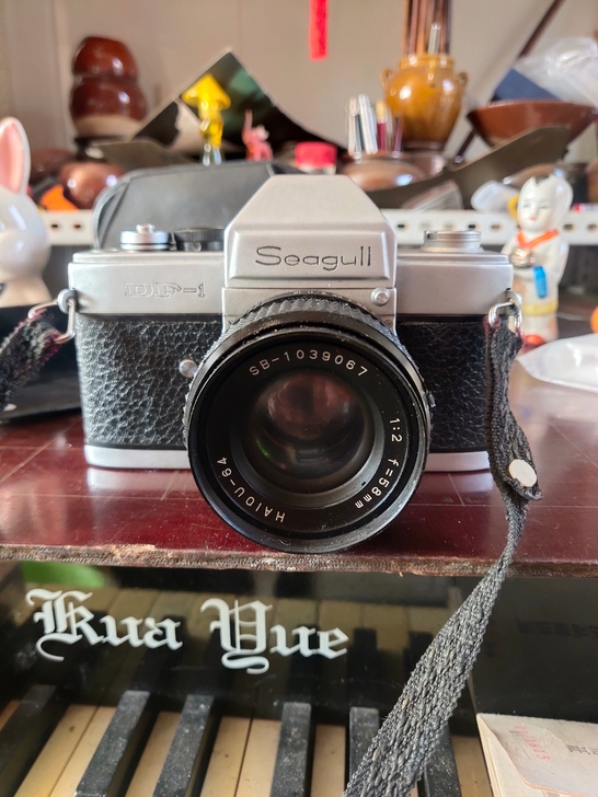 海鸥相机，型号自己看没弄明白，一按就响，不...