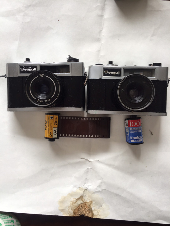海鸥 经典老相机  情怀  处理一批2个老...