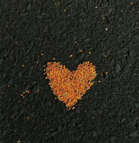 桂花 感兴趣的话点“我想要”和我私聊吧~