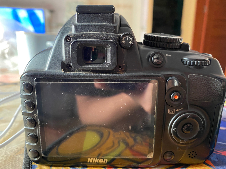 人生第一次用的单反相机，尼康d3100，像...