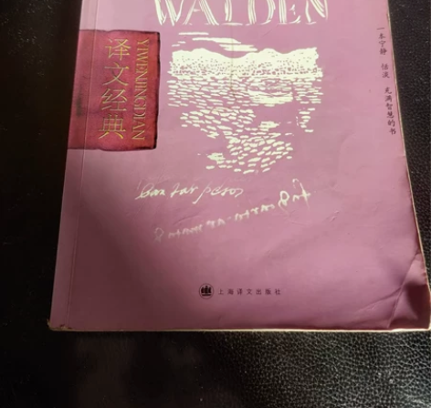 《瓦尔登湖》 图书 文学小说 内有笔痕无注...