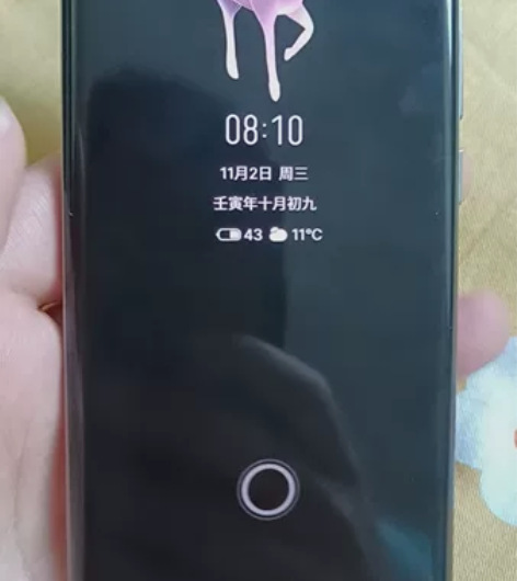 魅族18 渡海 8+128 屏幕显示正常 ...