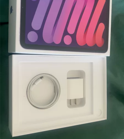 ipad mini6原装充电头和数据线；原...