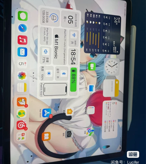 自用iPad pro 2021款  11寸...