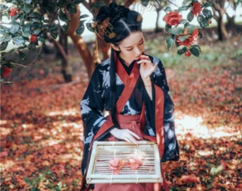 兰若庭汉服  下裙  魏晋风广袖交领襦裙 ...