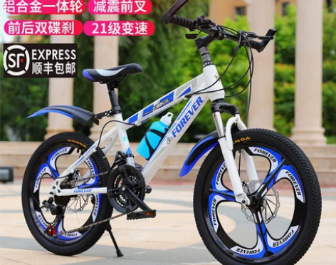 永久儿童自行车山地车小学生男孩女孩变速单车...