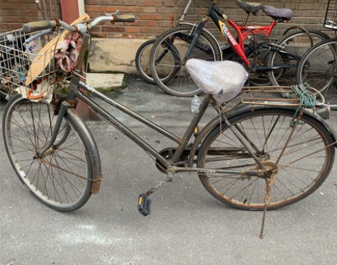 老飞鸽26自行车 特别好骑 就是在楼下放的...