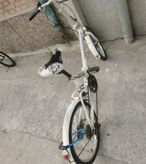 飞鸽铁锚折叠自行车20寸男女式单车变速减震...
