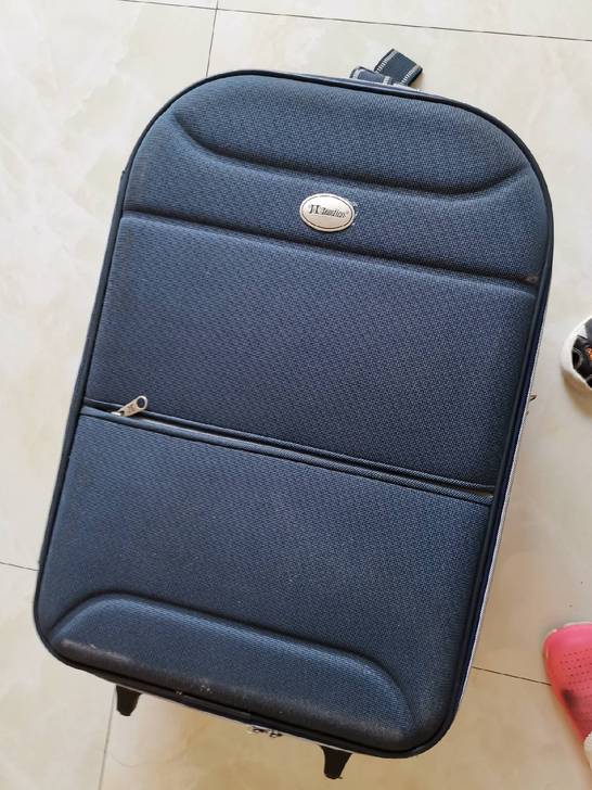 节后鱼生拉杆箱,20自提