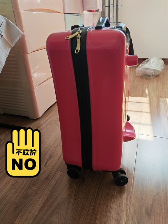 zefer品牌旅行箱，24寸，9成新