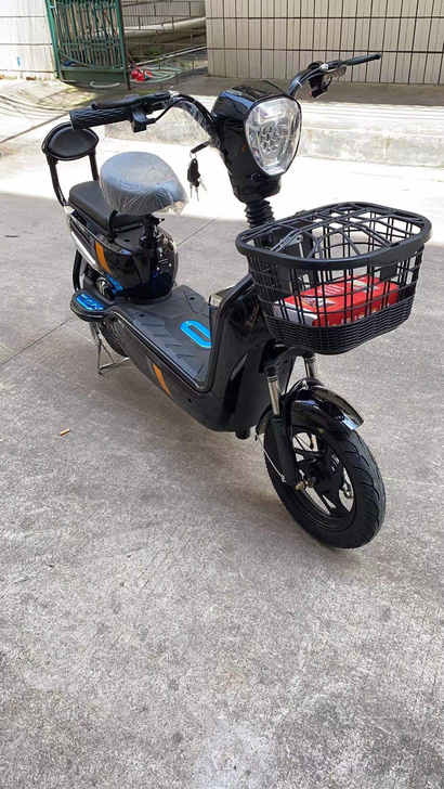 雅迪同款 五羊电动车 48V