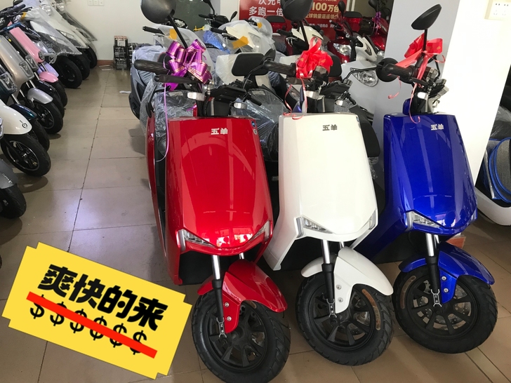 全新五羊电动车.消化库存.给钱就卖