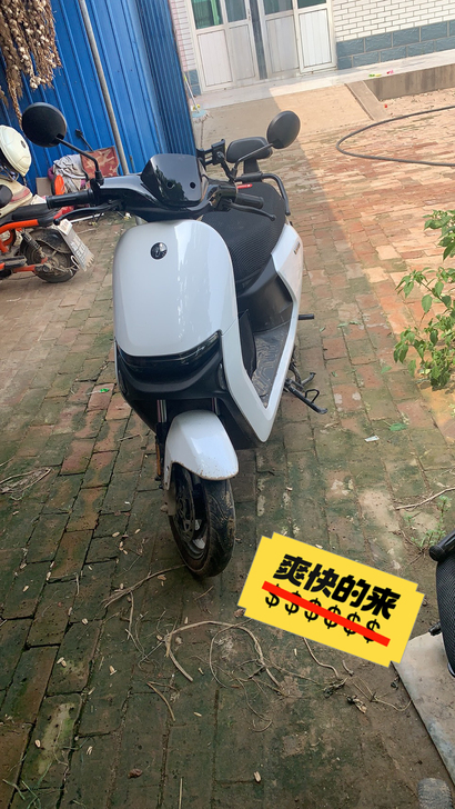 九号n90c，买车了不骑了，自己看吧，高阳...