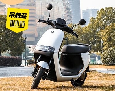 小米九号E200P九号Z真智能电动车