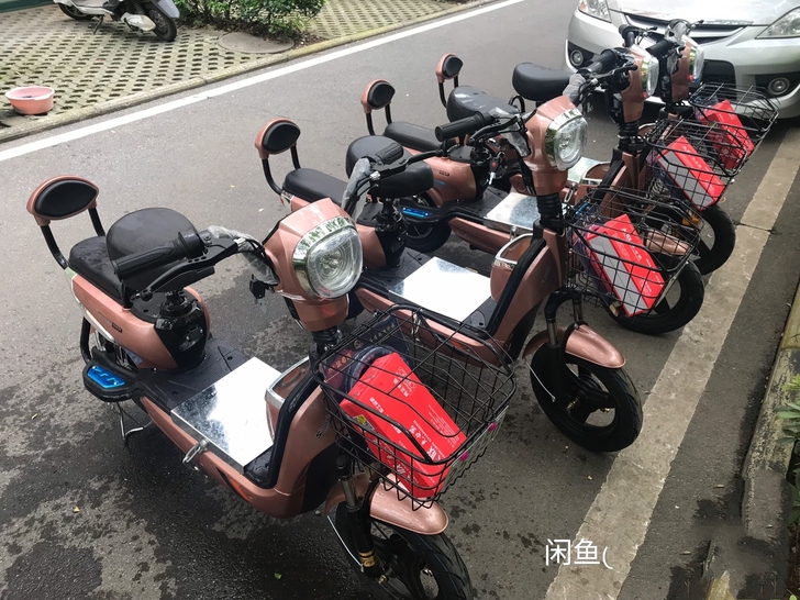 全新电动车出租